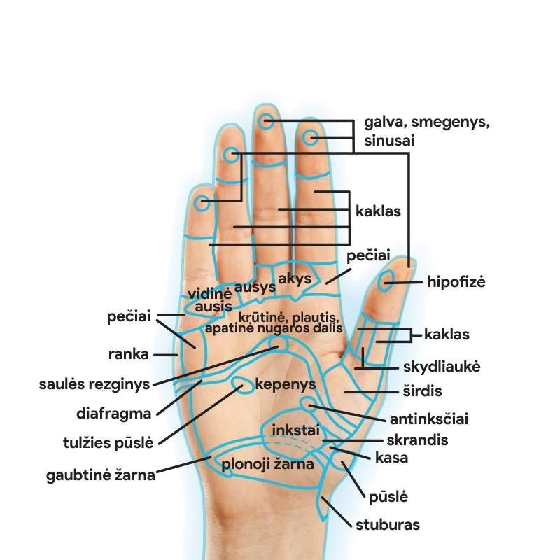 Vakuum-Handmassagegerät „Herkus Pro“