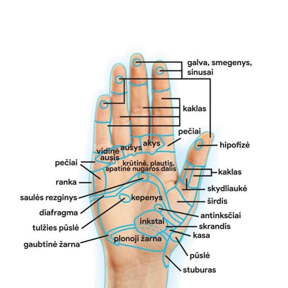 Vakuum-Handmassagegerät „Herkus Pro“